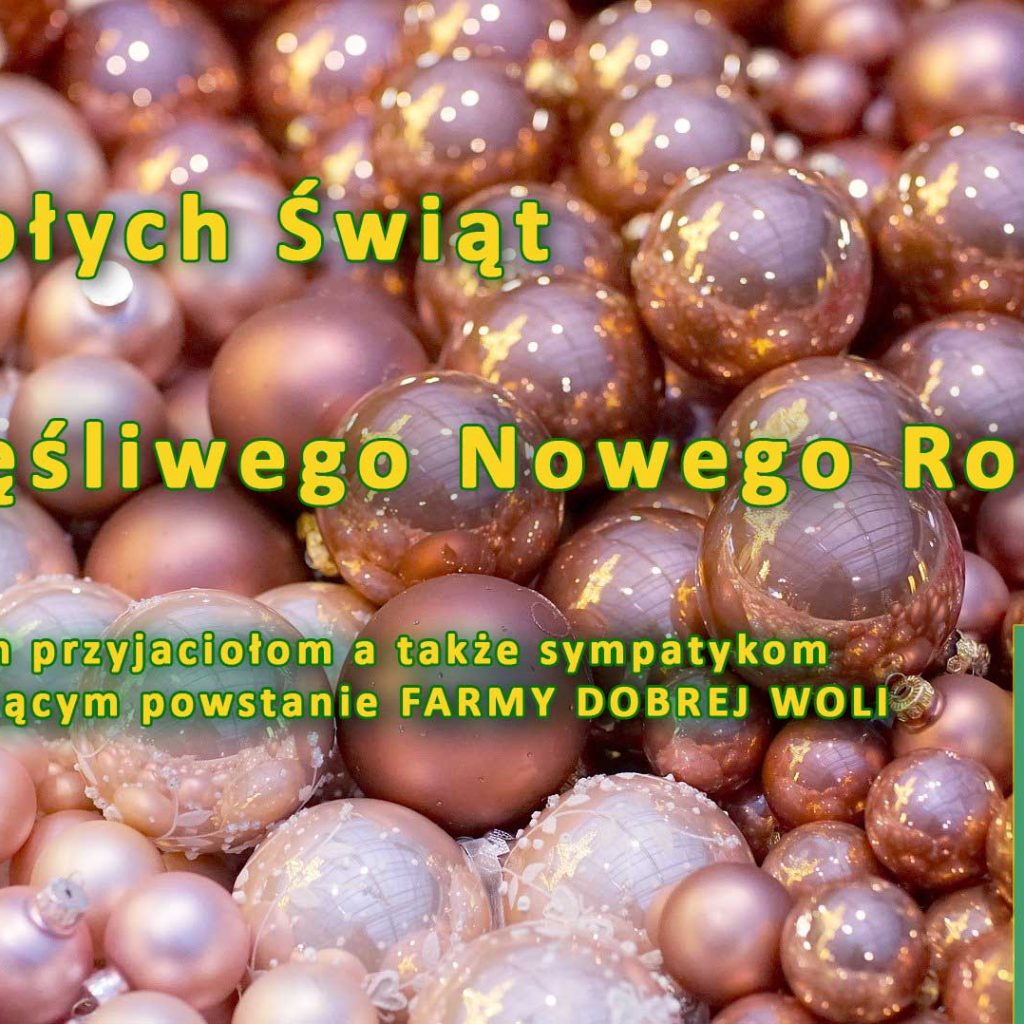 Wesołych Świąt i Szczęśliwego Nowego Roku!
